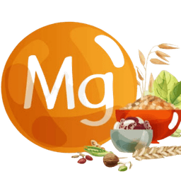 vitMG